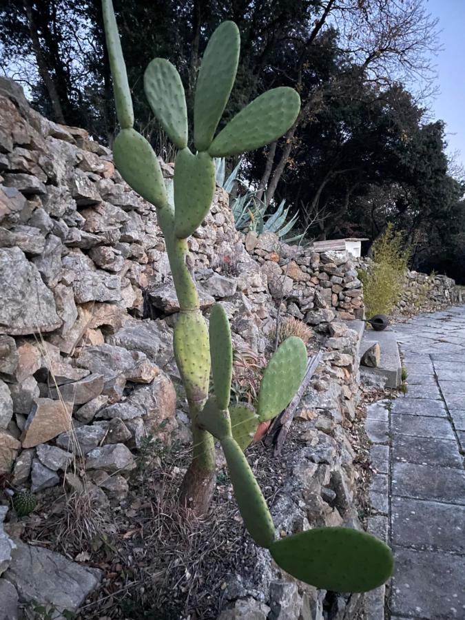 مبيت وإفطار Pignan Les Terrasses Des Gardies المظهر الخارجي الصورة